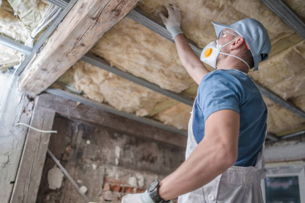 Best Cellulose Insulation  in Perryman, MD